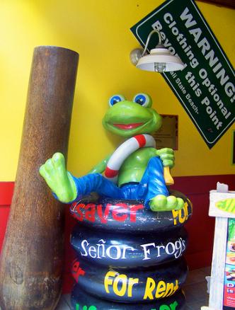 Senior Frog's.... место, где может случиться что угодно =)