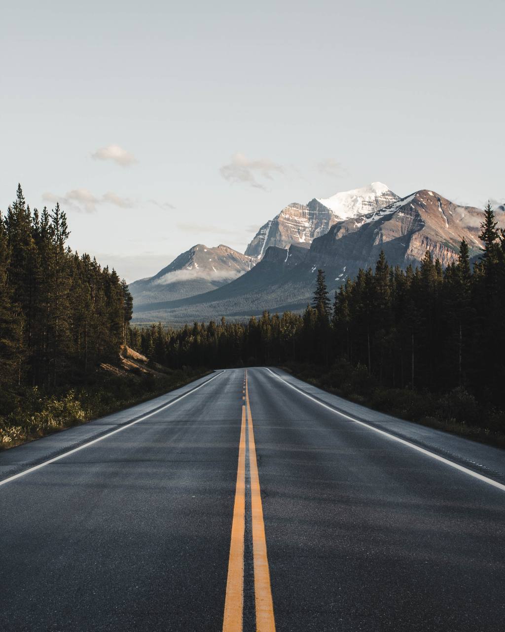 Work and Travel USA туралы әңгіме